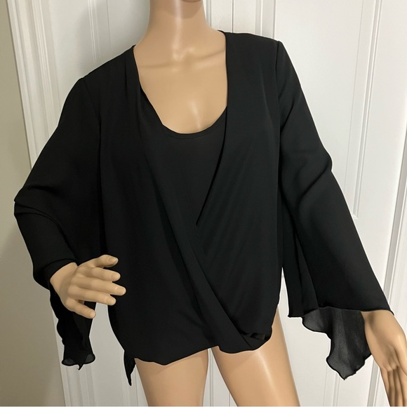 NWT | Artizan by Robin Barre | Black Sheer Blouse With loose fit sleeves - Picture 1 of 9